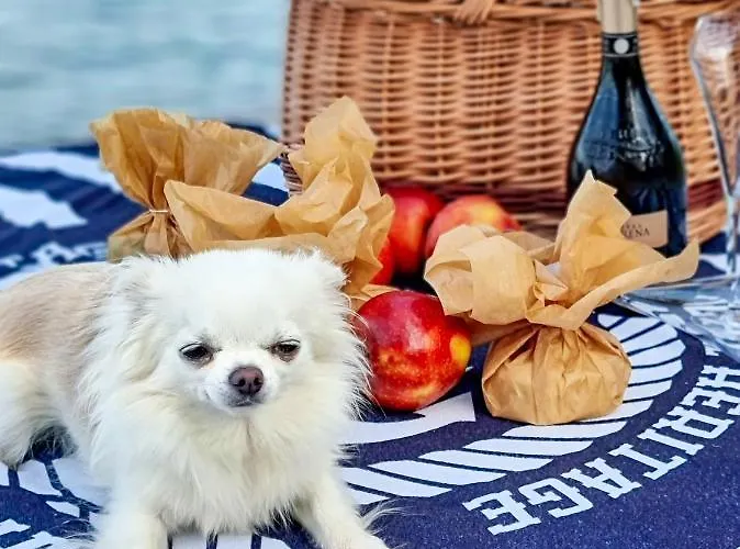 Bobrowa Ostoja * ווקטה